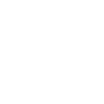 GS White Logo